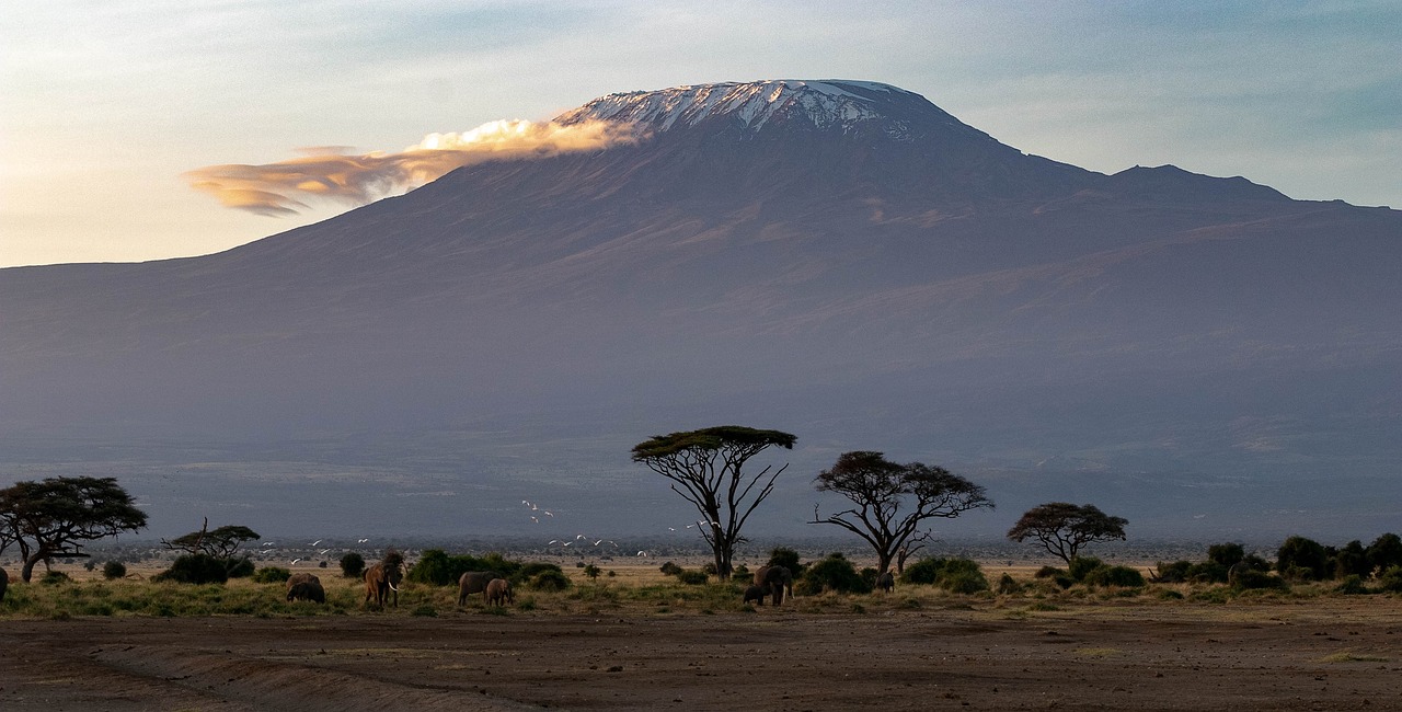 What Role Do National Parks Play in Conservation?